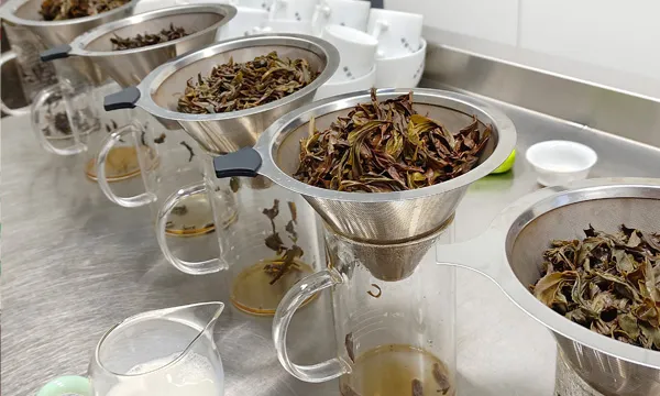 Ginseng Oolong,Dahongpao Oolong Tea,Peach Black Tea