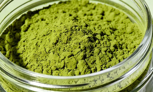 Moonlight White Tea,Yunan Black tea,Organic Pekoe Maofeng